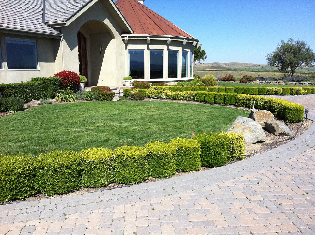 美国加州鹰冠酒庄摄影旅拍风景葡萄酒庄园