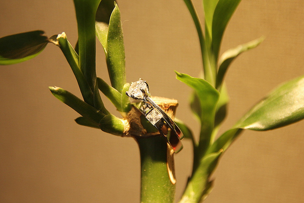 2017-9-23婚礼摄影-爱你一生不变（图ZOTI2MTU4Njg=） - 人文/纪实摄影 - 站酷设计师1987jms原创素材 - 站酷ZCOOL