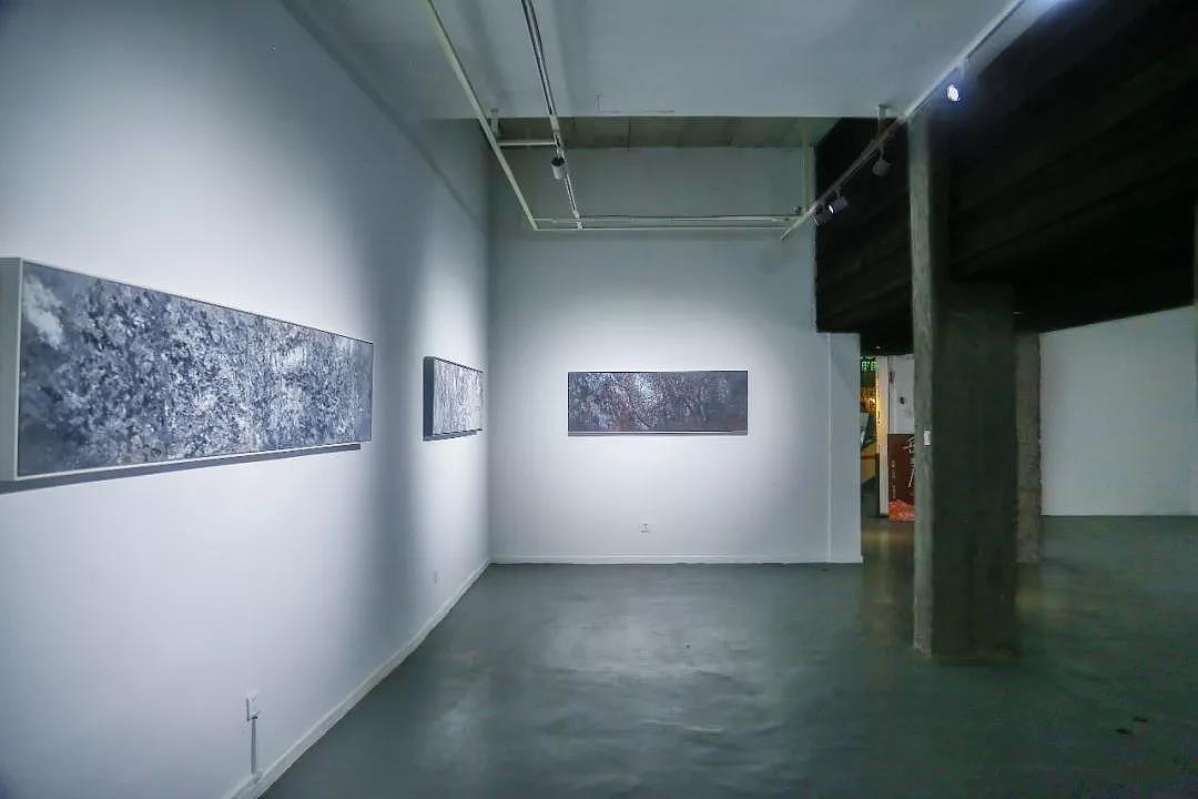 岳麓山 —— 谭小平个展