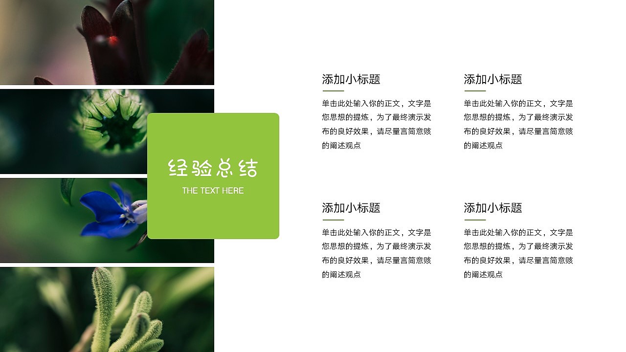 免费PPT模板!春天春季立春春分PPT!