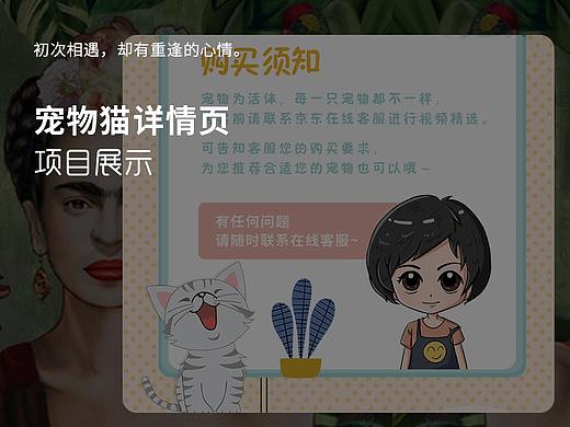 宠物猫详情页