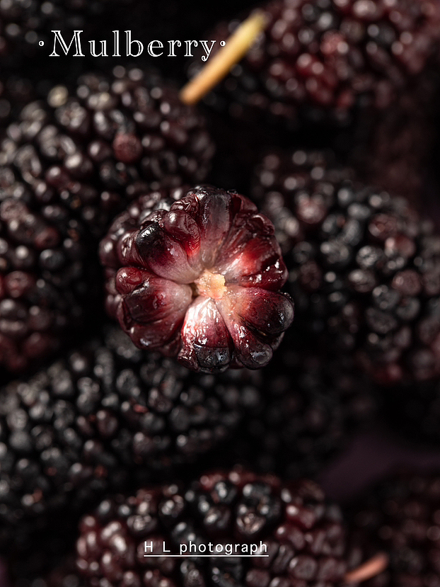 静物摄影 水果拍摄 桑葚拍摄 卡纸风