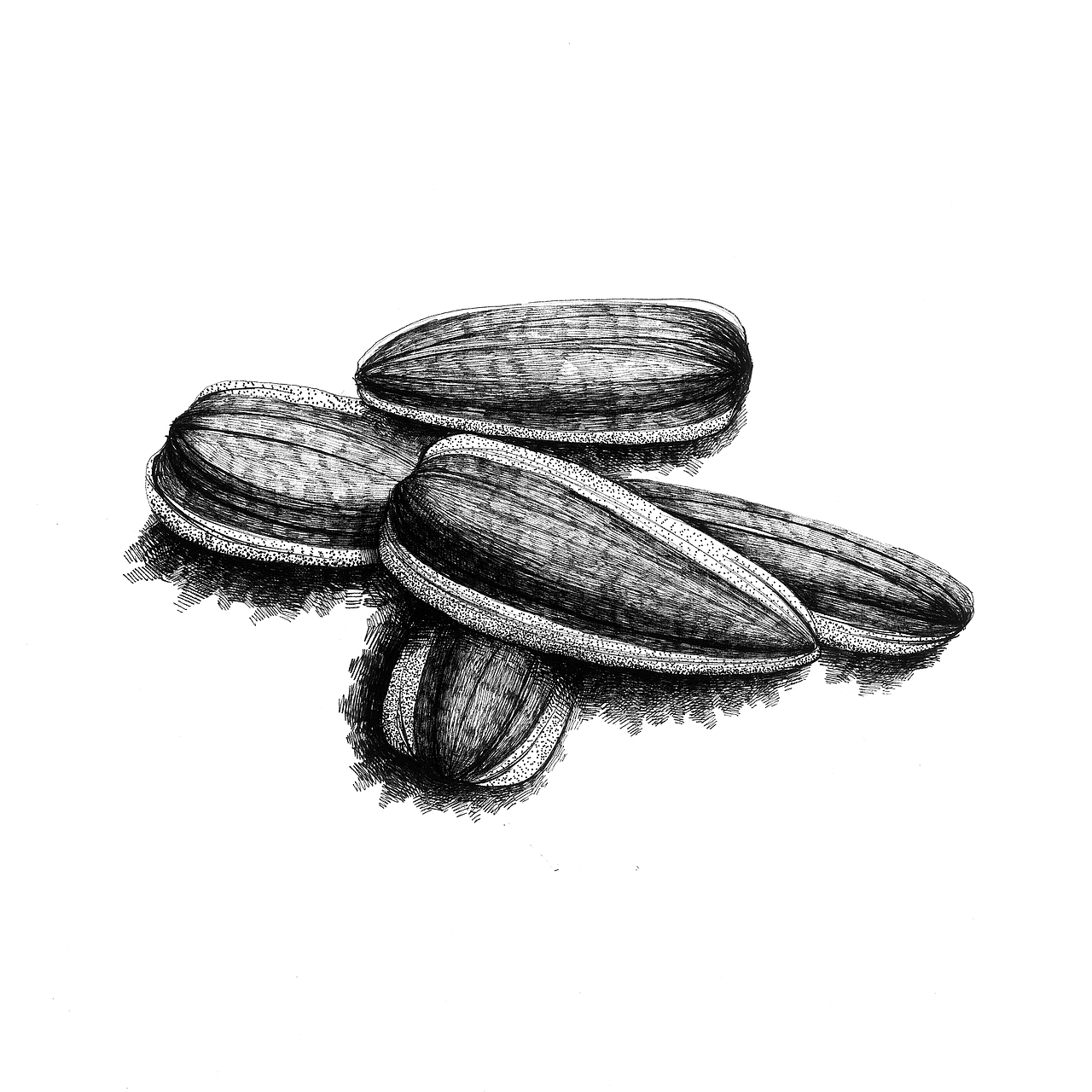 毕业设计（图ZMzI5NTU0ODA=） - 商业插画 - 站酷设计师墩墩喝牛奶原创素材 - 站酷ZCOOL