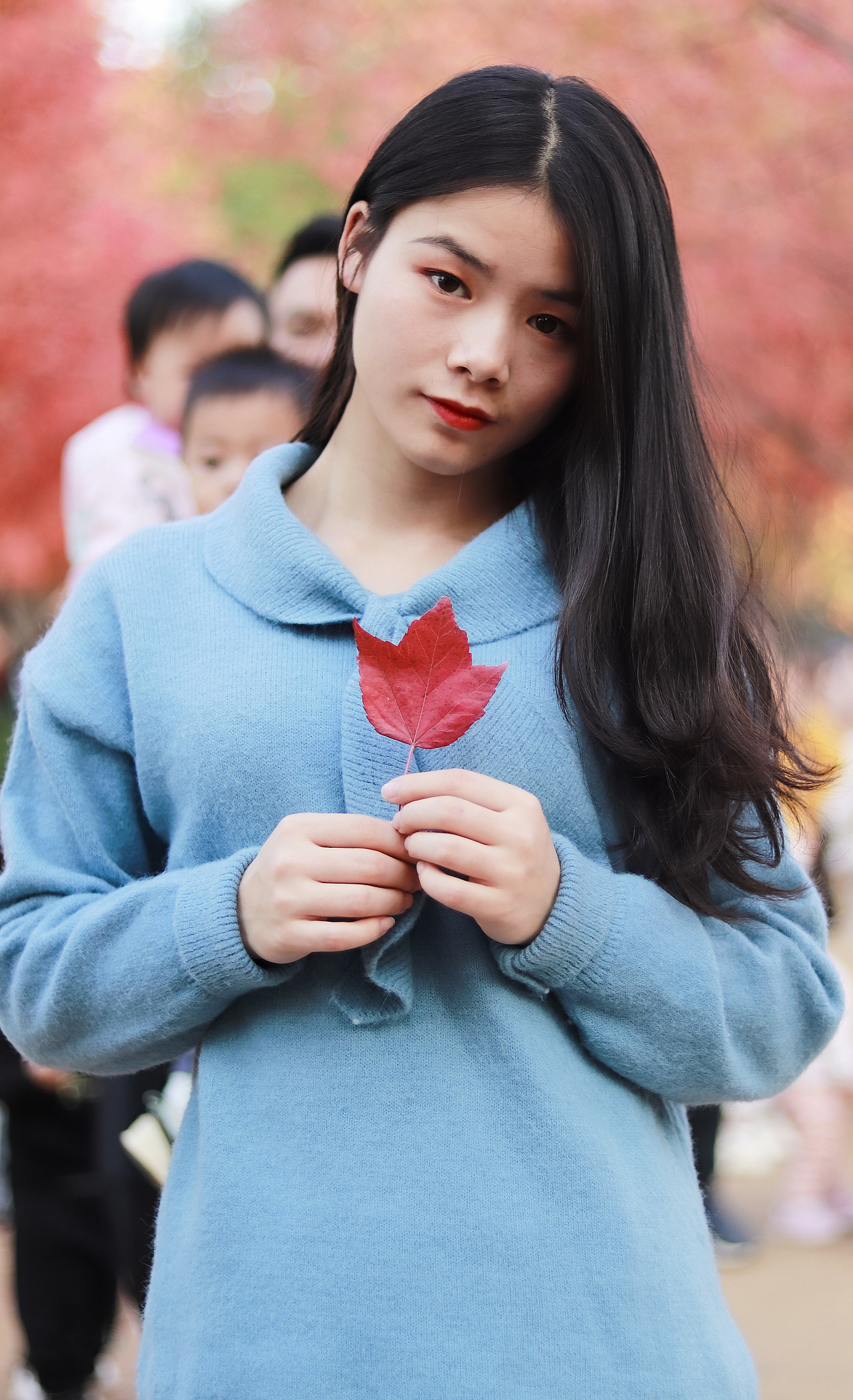 枫叶掉下之后的最后一组