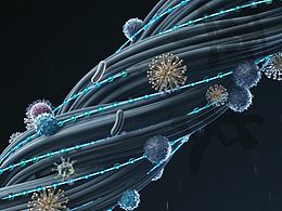 <b class='hightlight'>面料</b>