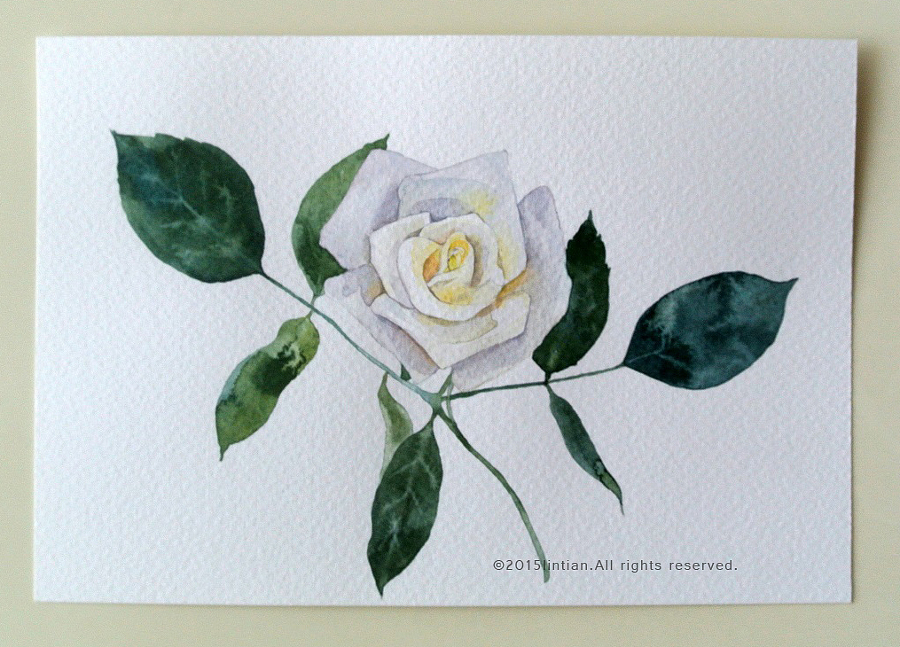 一日一花（图ZMzc5ODAyNzY=） - 商业插画 - 站酷设计师林田lisa原创素材 - 站酷ZCOOL