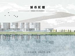 毕设