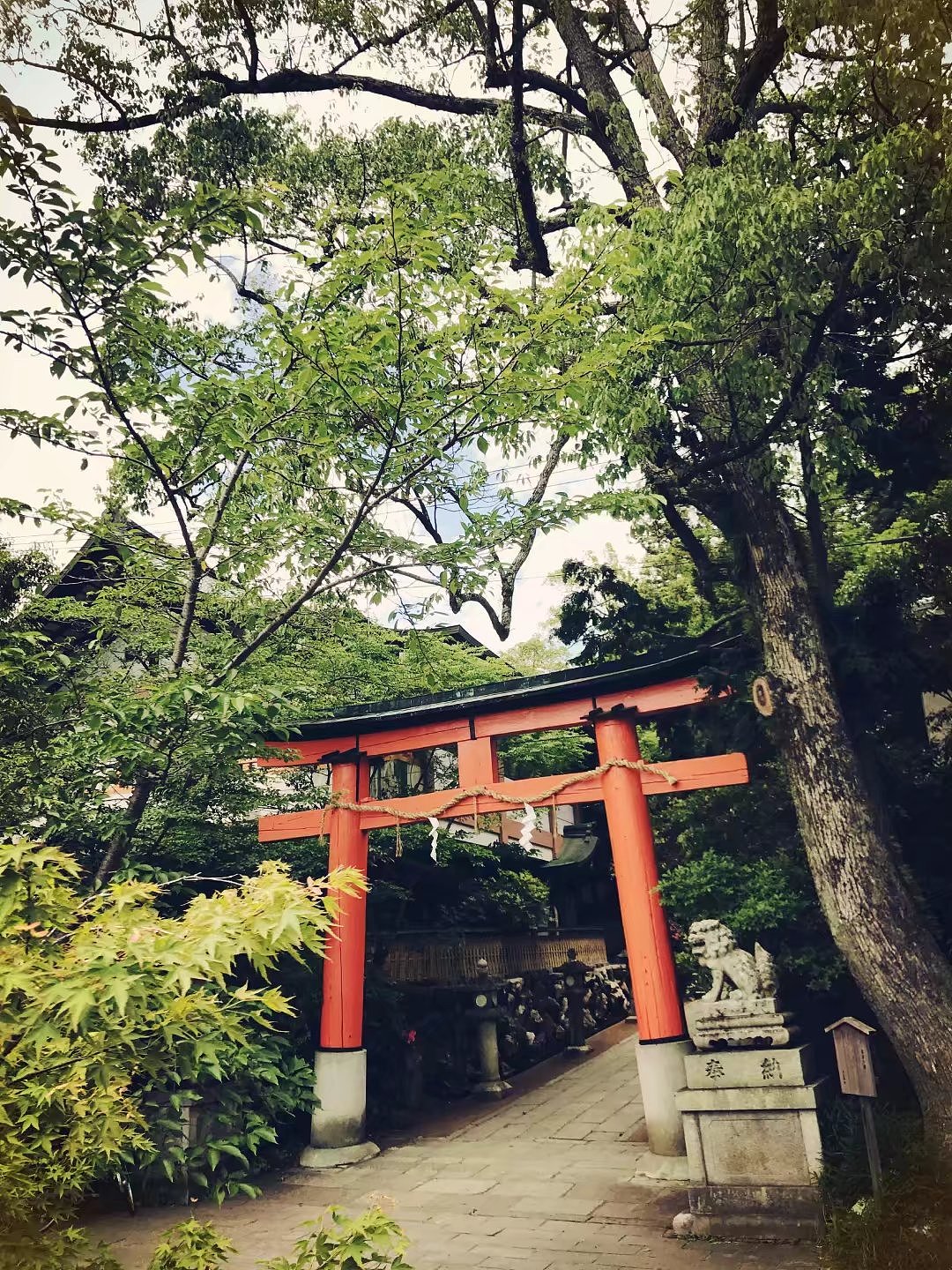 日本京都一周游