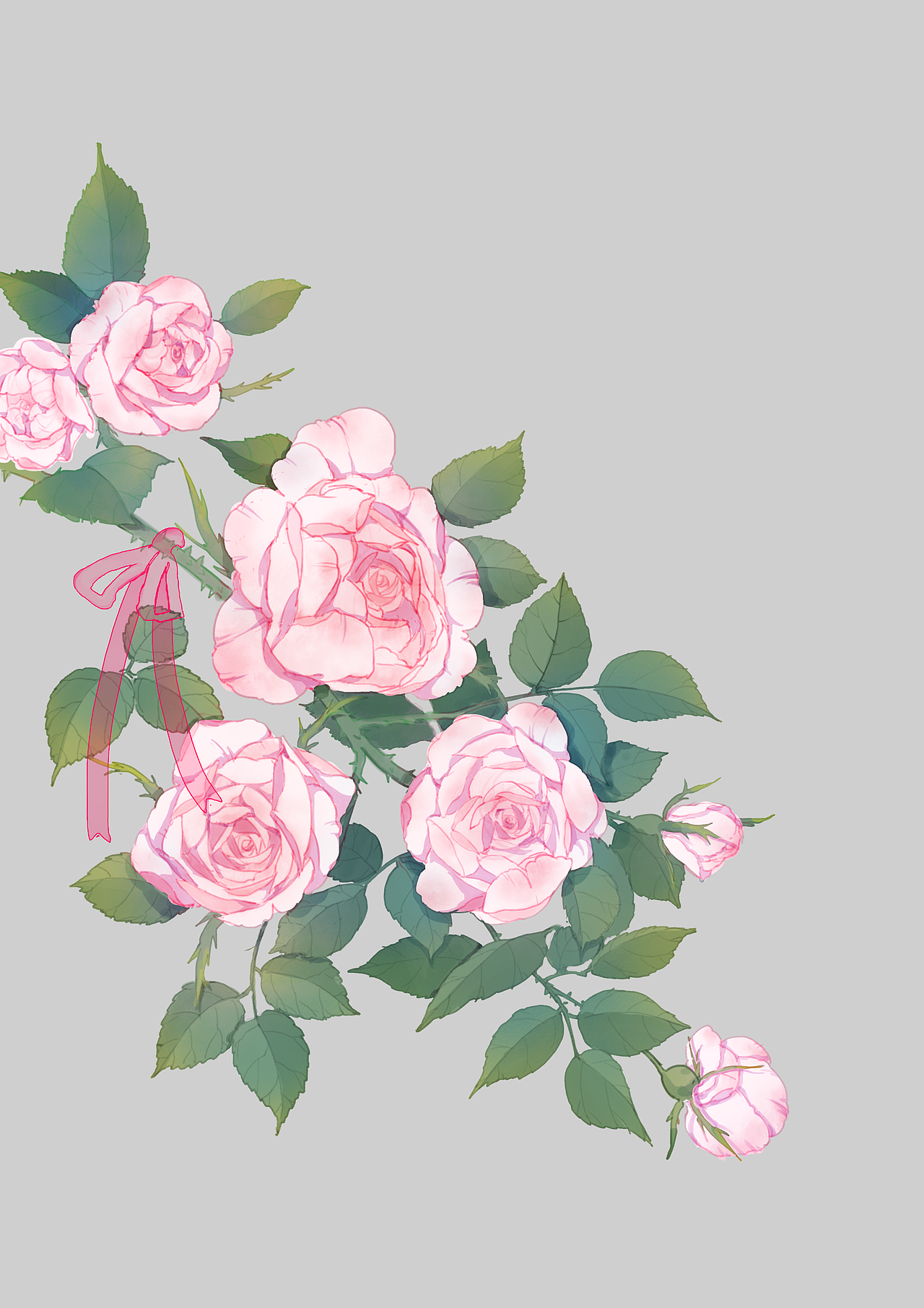 蔷薇/洋甘菊/薰衣草（图ZMTA1NjIwMjU2） - 商业插画 - 站酷设计师地主家的傻儿子原创素材 - 站酷ZCOOL