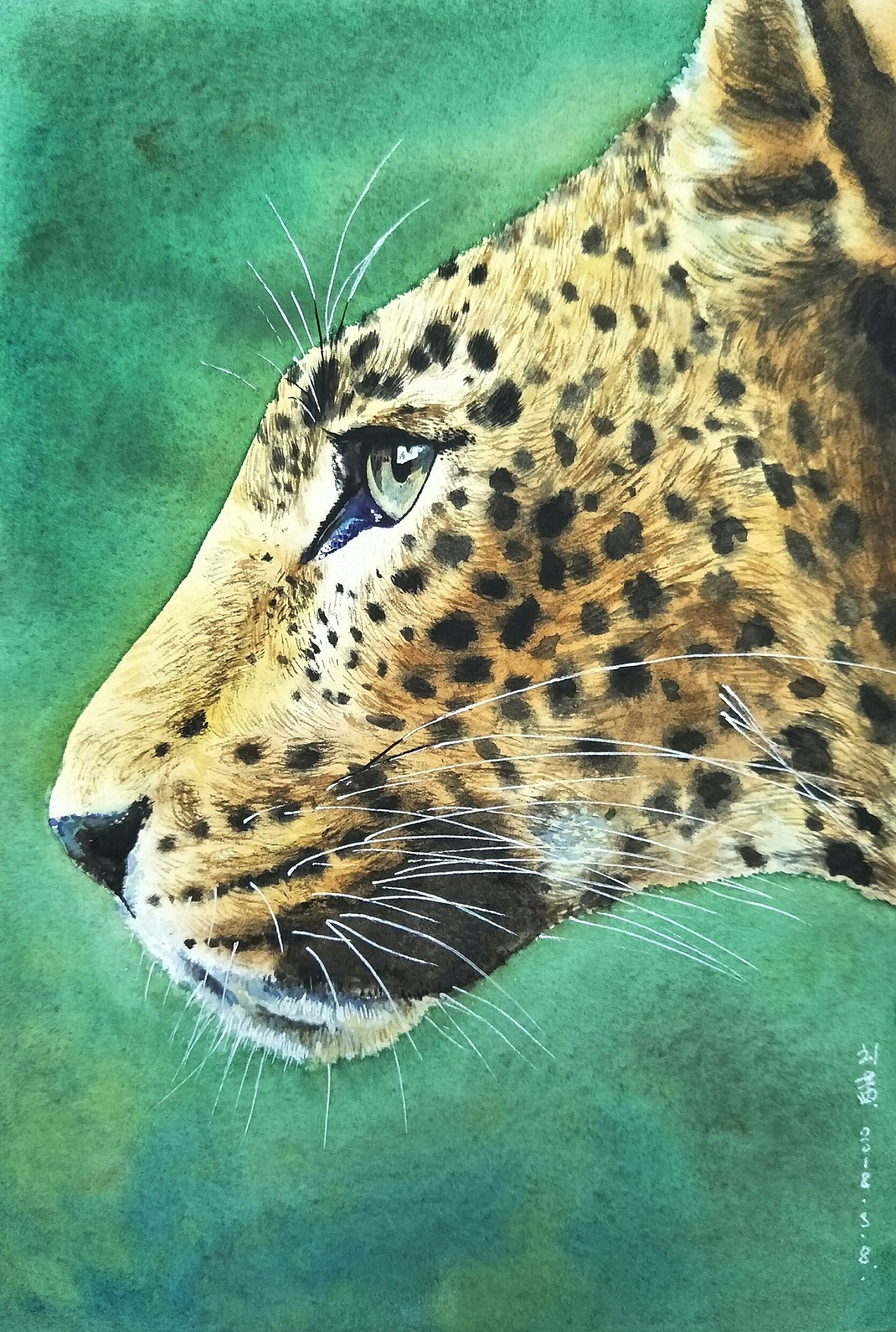 一组比较写实的动物