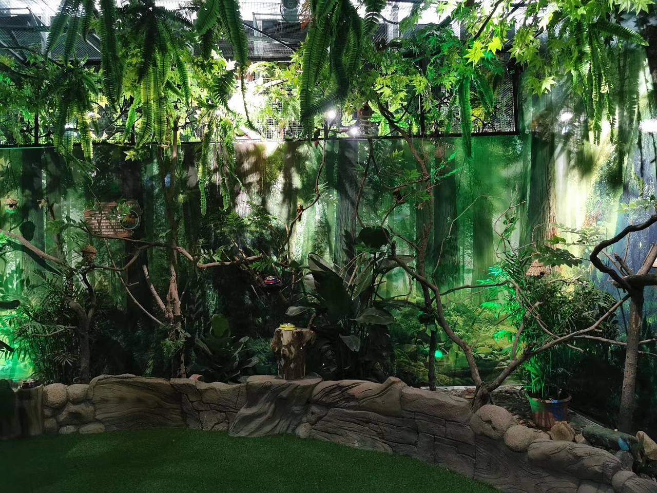 探索萌宠王国门头设计(旧房改造)