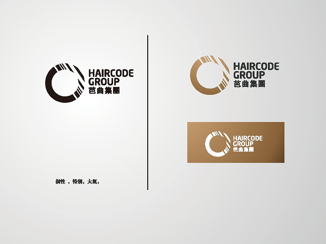 芭曲集团 haircode group logo 前期方案
