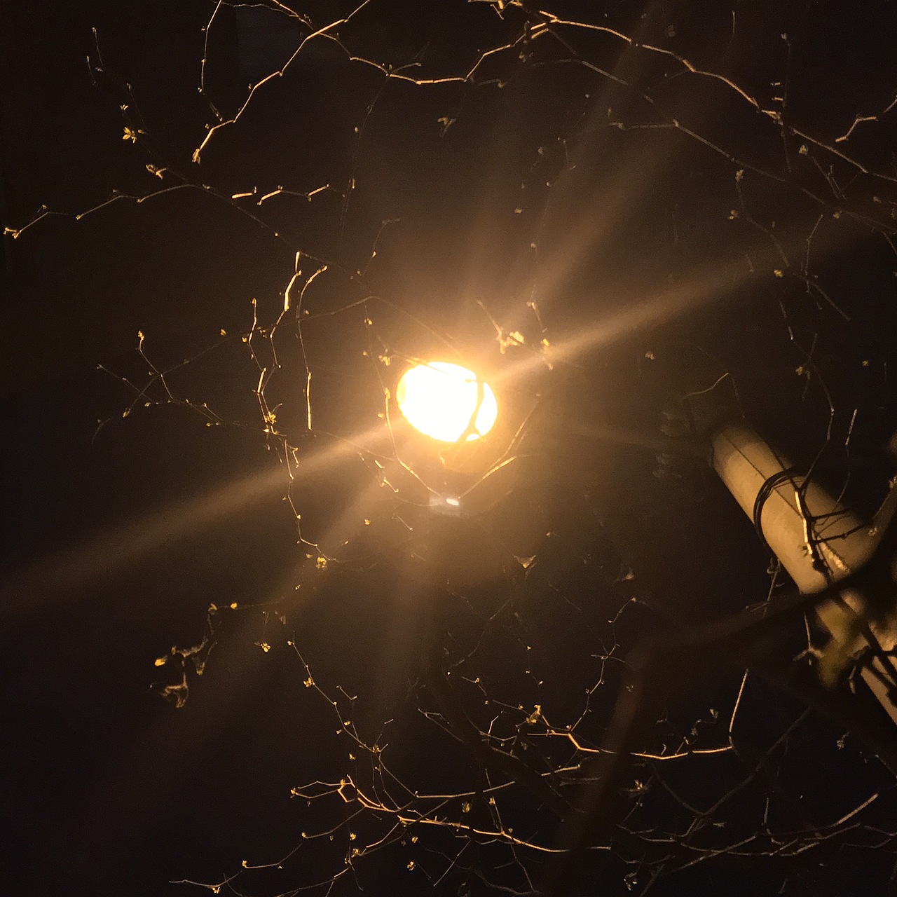 i7原相机真的尽力了！（图ZMjA0NzYxMzQ4） - 风光摄影 - 站酷设计师Z29505205原创素材 - 站酷ZCOOL