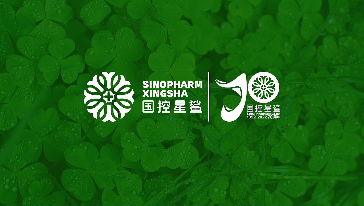  凭“星”而来，“鲨”耀新生。