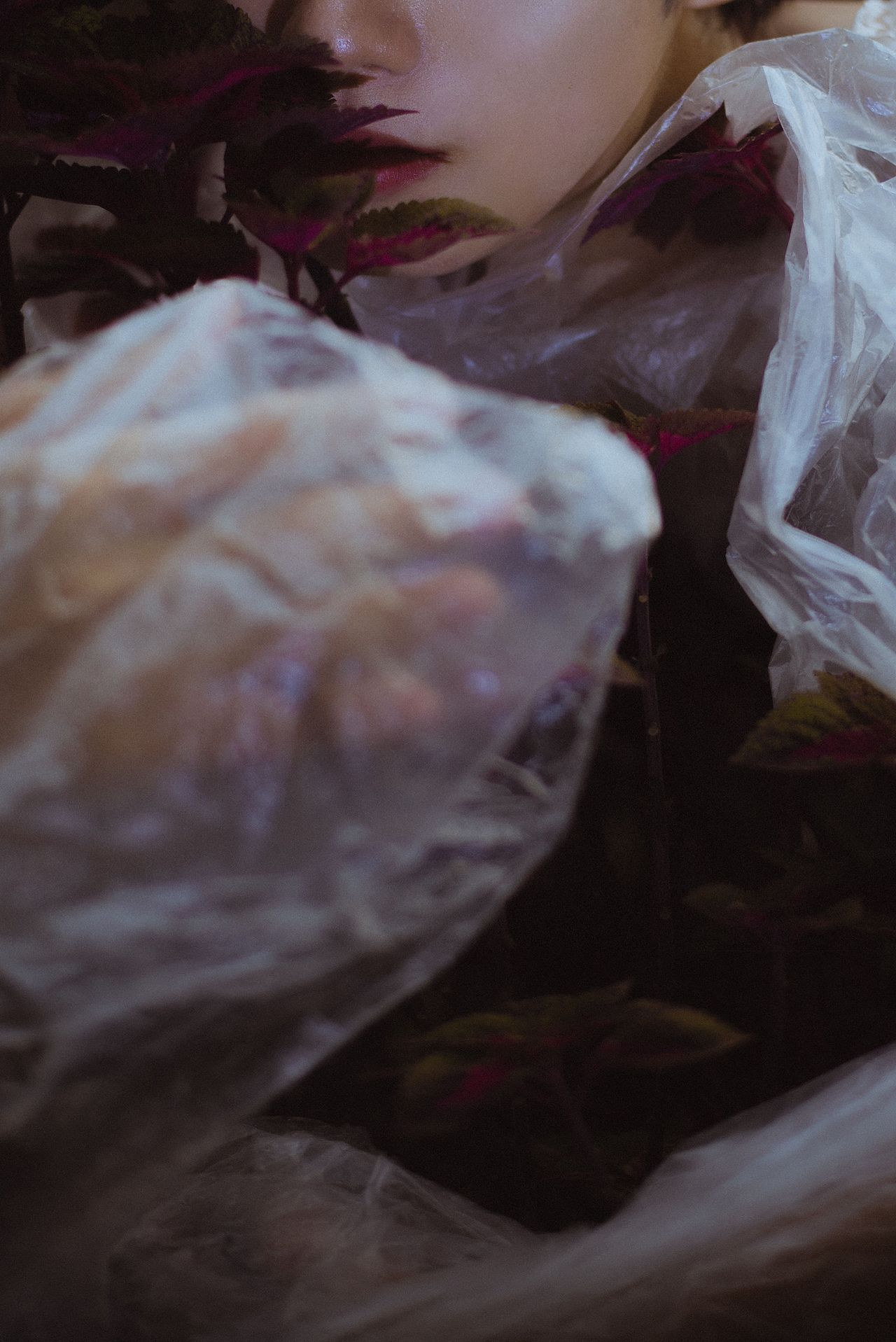 烈焰繁花（图ZMjI3NTczODg4） - 人像摄影 - 站酷设计师DAN籽籽原创素材 - 站酷ZCOOL