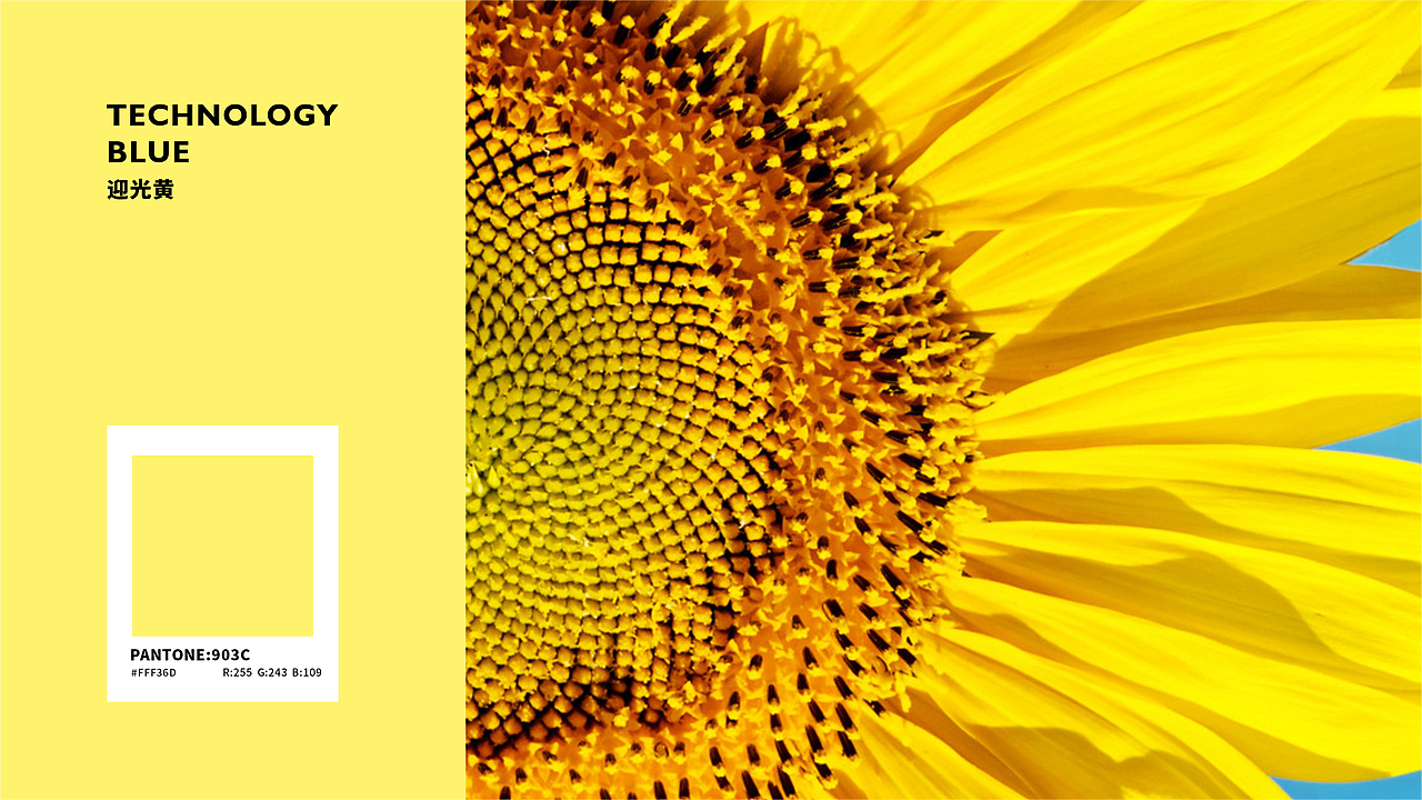 科技小家电品牌 YOUGOUKEJI（图ZMjc0MDUyNzky） - 品牌 - 站酷设计师DesignGamerMario原创素材 - 站酷ZCOOL