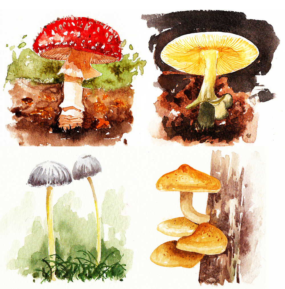 青草蘑菇蛋糕，老朋友说，这不是懒洋洋的最爱吗~噗~O(∩_∩)O~（图ZMTUyMTQxMDg=） - 创作习作 - 站酷设计师竹间小妖原创素材 - 站酷ZCOOL