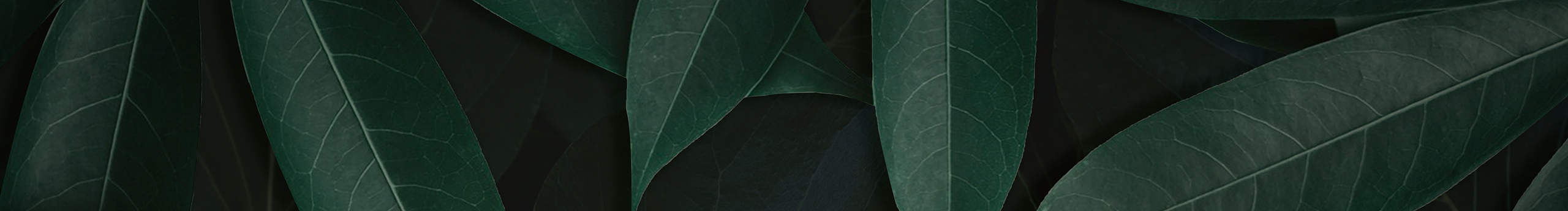 winnie大花的個(gè)人主頁(yè)（封面預(yù)覽） - 主頁(yè)封面設(shè)置 - 站酷設(shè)計(jì)師winnie大花原創(chuàng)素材 - 站酷ZCOOL