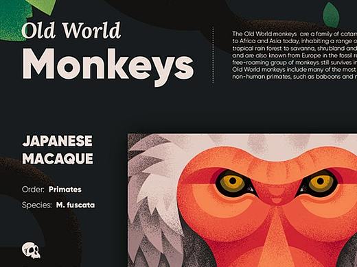 OId world monkeys(Anano Mimin)（個(gè)人主頁(yè)-ZMzA5Nzg3NDA=） - 宣傳物料 - 站酷設(shè)計(jì)師Z15273181原創(chuàng)素材 - 站酷ZCOOL