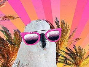 精彩正版视频，2021年末限时大促，一条也能享优惠！