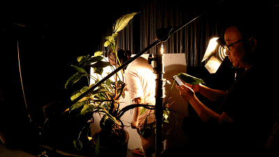 盘点我们拍的Nanci定格动画！人间小甜豆的千层套路！（图ZMjg4OTUyMTgw） - 短片 - 站酷设计师蒸汽工场原创素材 - 站酷ZCOOL