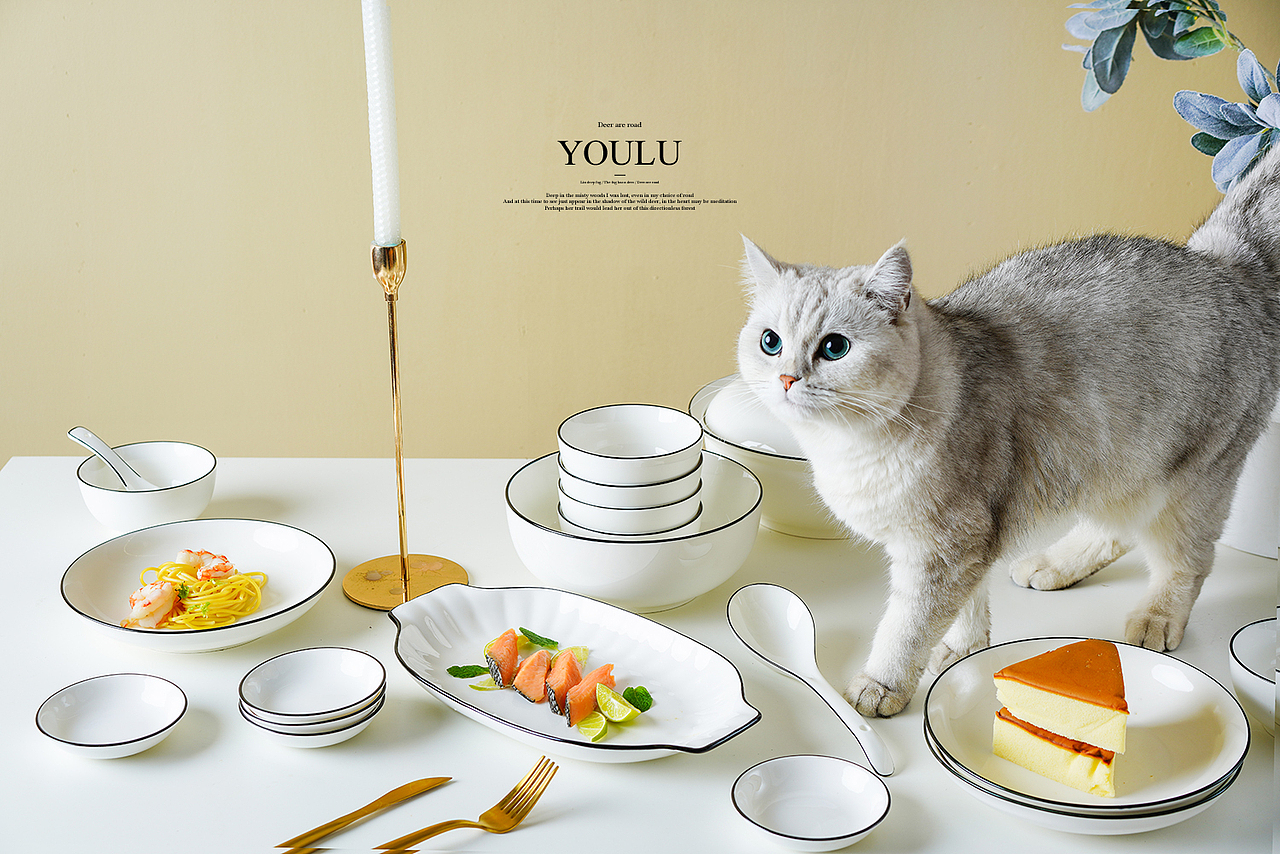 家 ● 黄色 ● 猫（图ZMjAyNjA3MDc2） - 产品摄影 - 站酷设计师有鹿摄影视觉YOLU原创素材 - 站酷ZCOOL