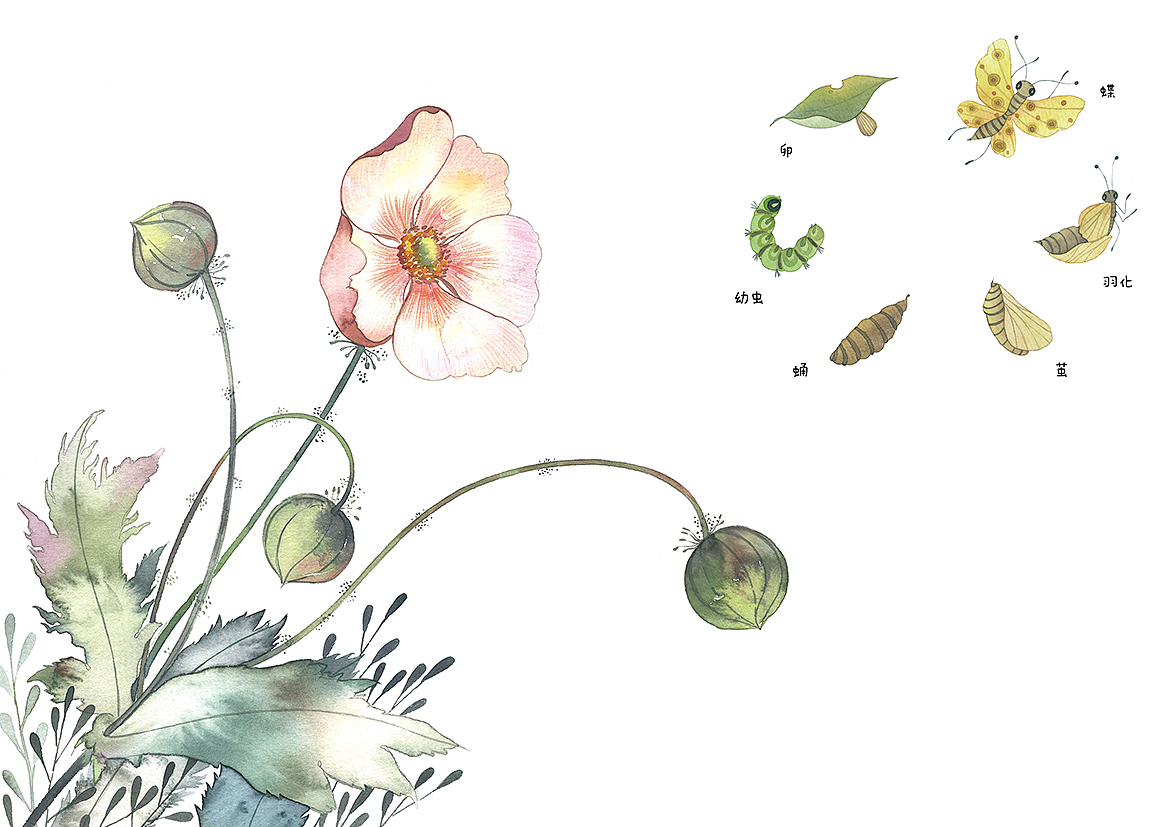 最新出版水彩教程书《昆虫记》（图ZMTEzODM4MTA4） - 商业插画 - 站酷设计师皮痞祖2016原创素材 - 站酷ZCOOL
