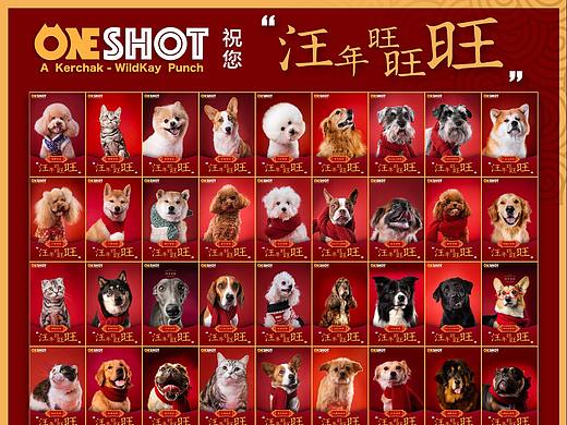 狗年过去一半了，刚想起来我们在年初拍的百狗拜年图