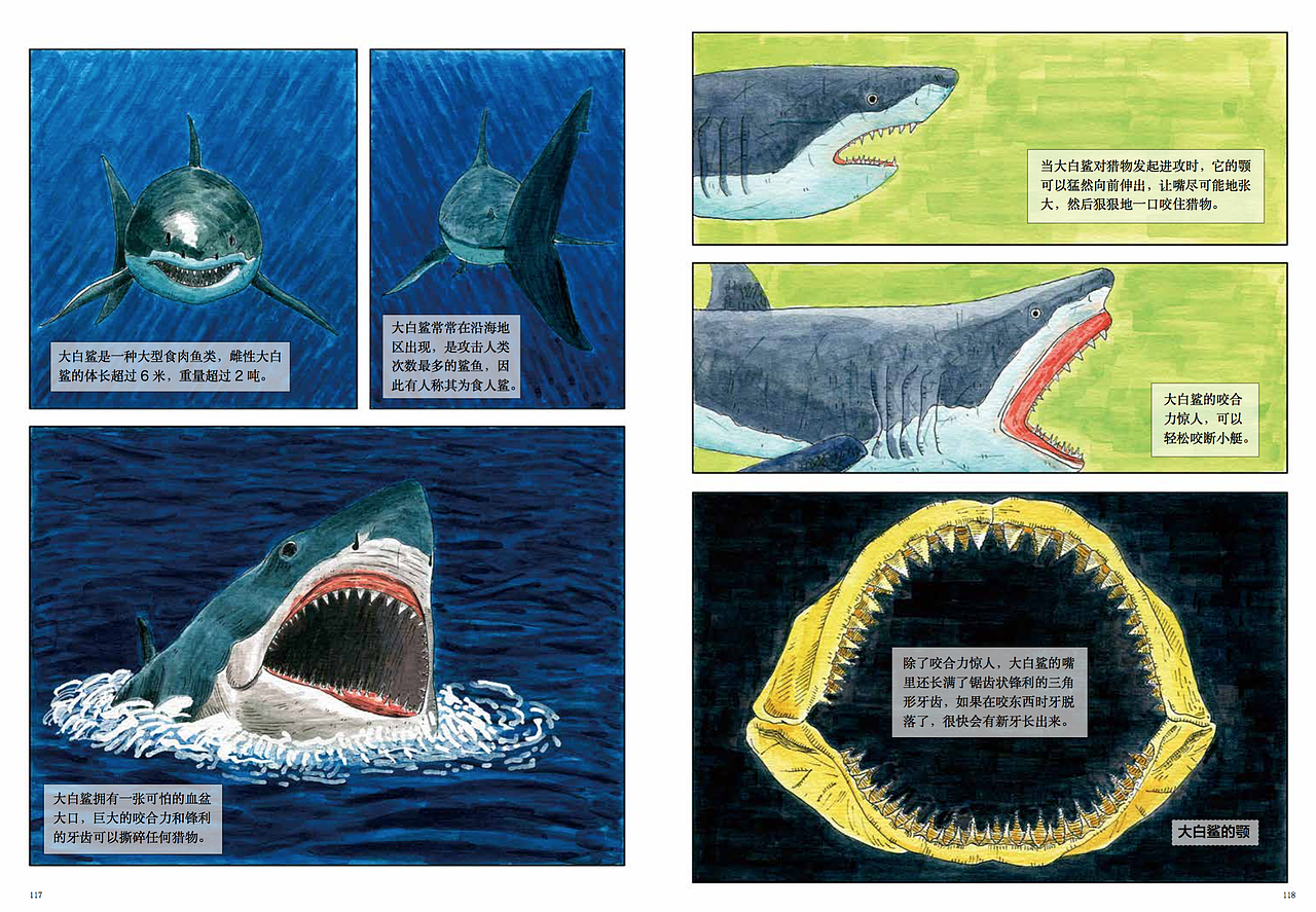 绘本海洋动物插画