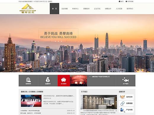 山东领峰控股有限公司