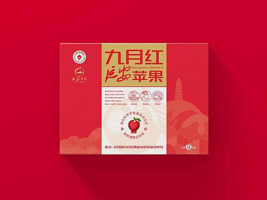九月红延安苹果包装设计