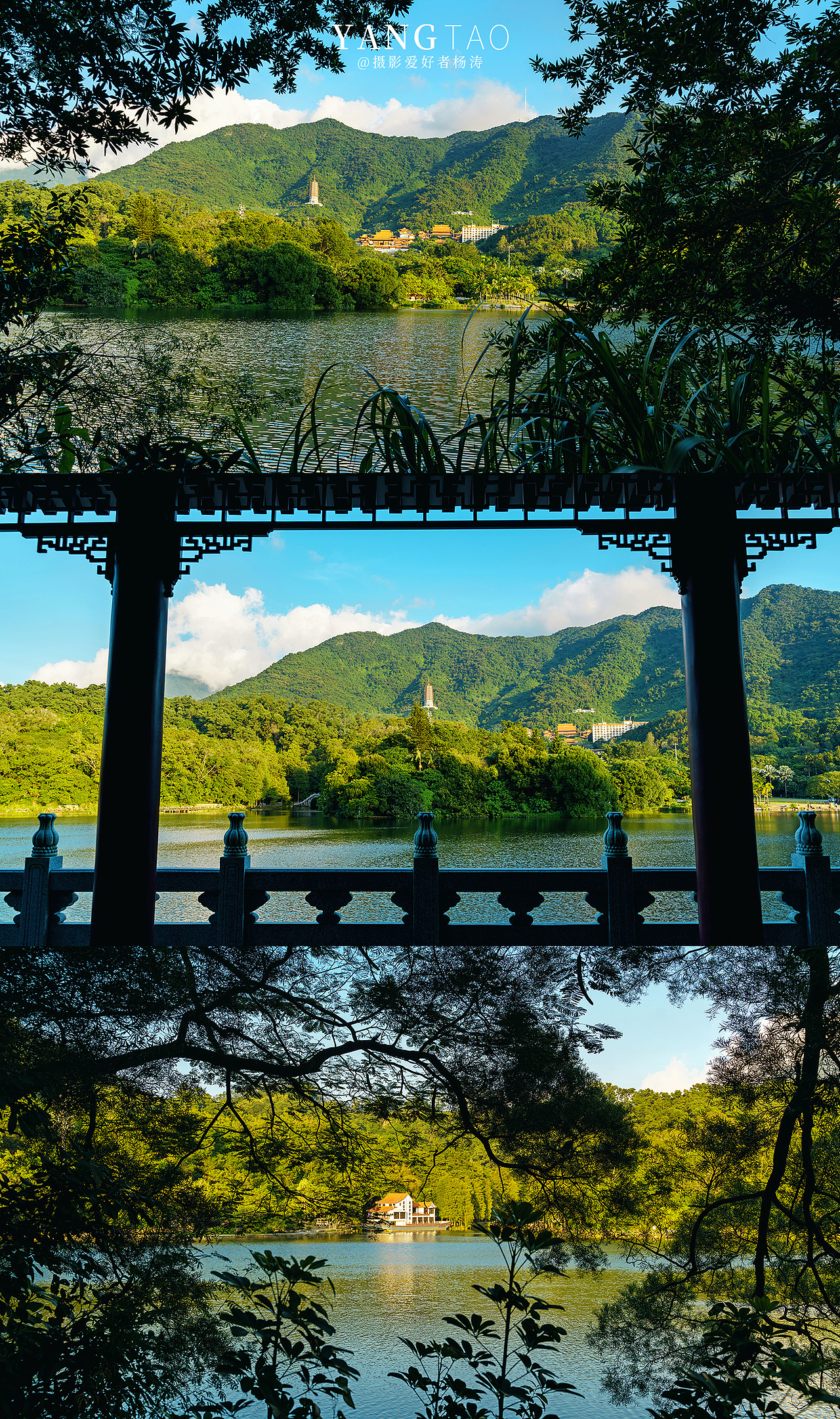 深圳仙湖植物园 2021