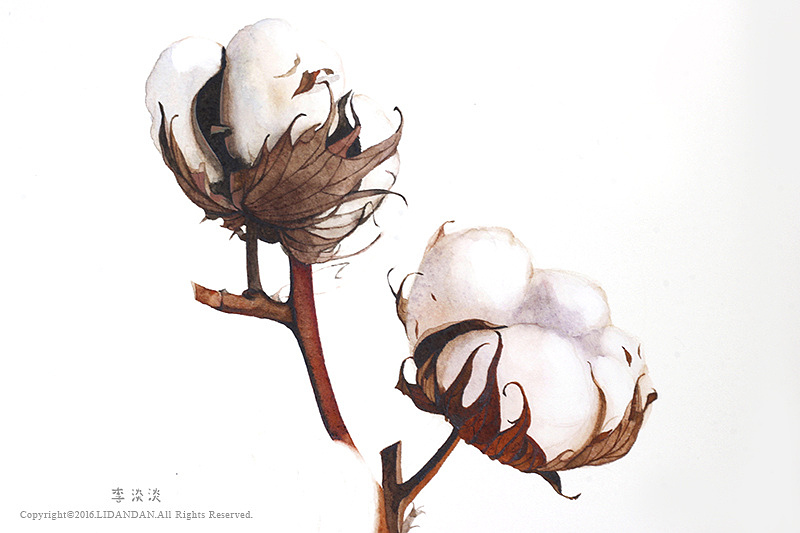 如植物般自由生长