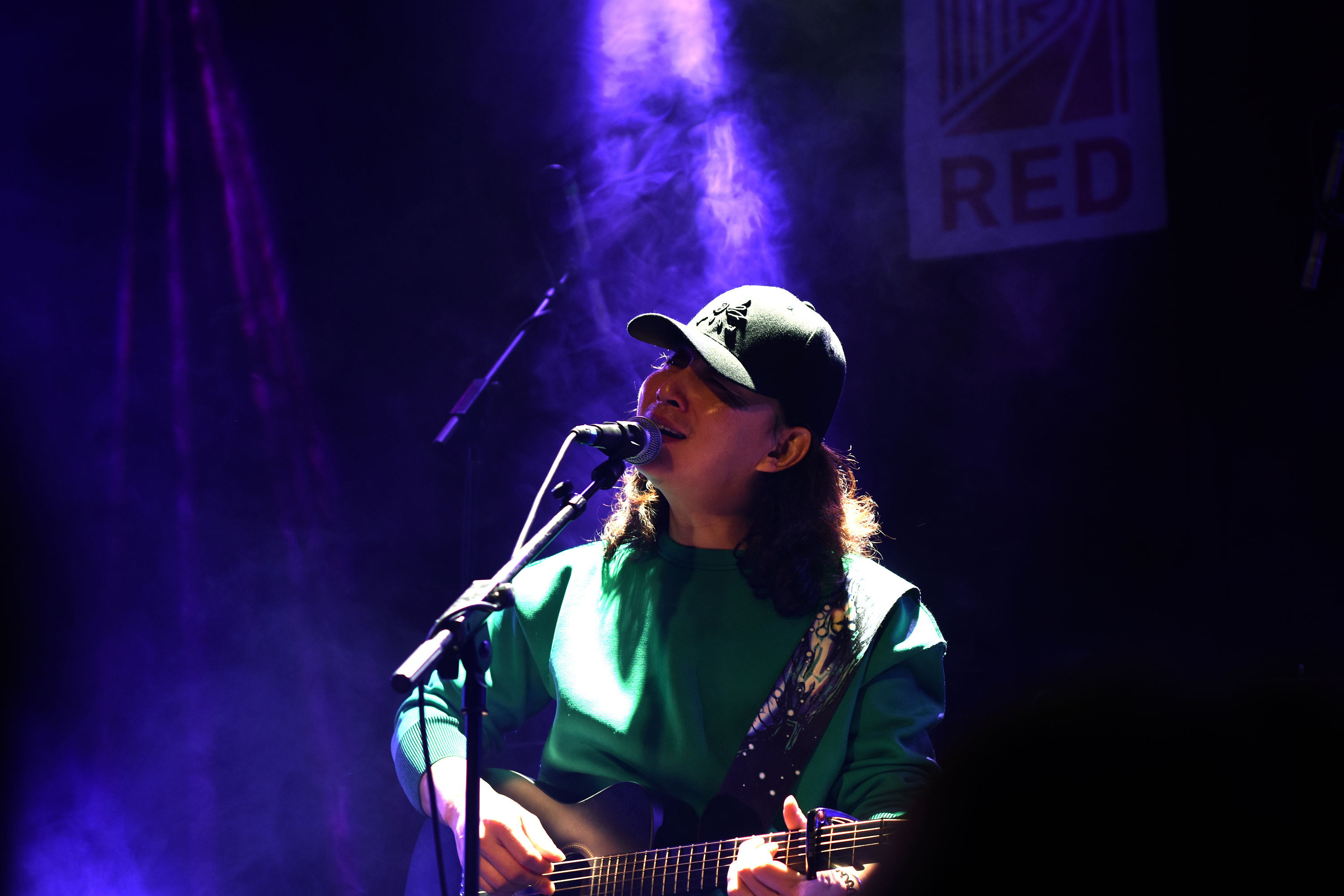 赵照 无花果乐队