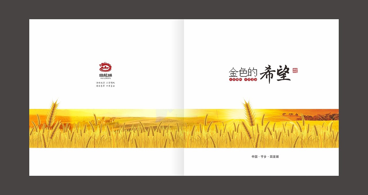 金色的希望 乡镇 画册（图ZMzYzNTc3ODg=） - 书籍/画册 - 站酷设计师fxy216ccc原创素材 - 站酷ZCOOL