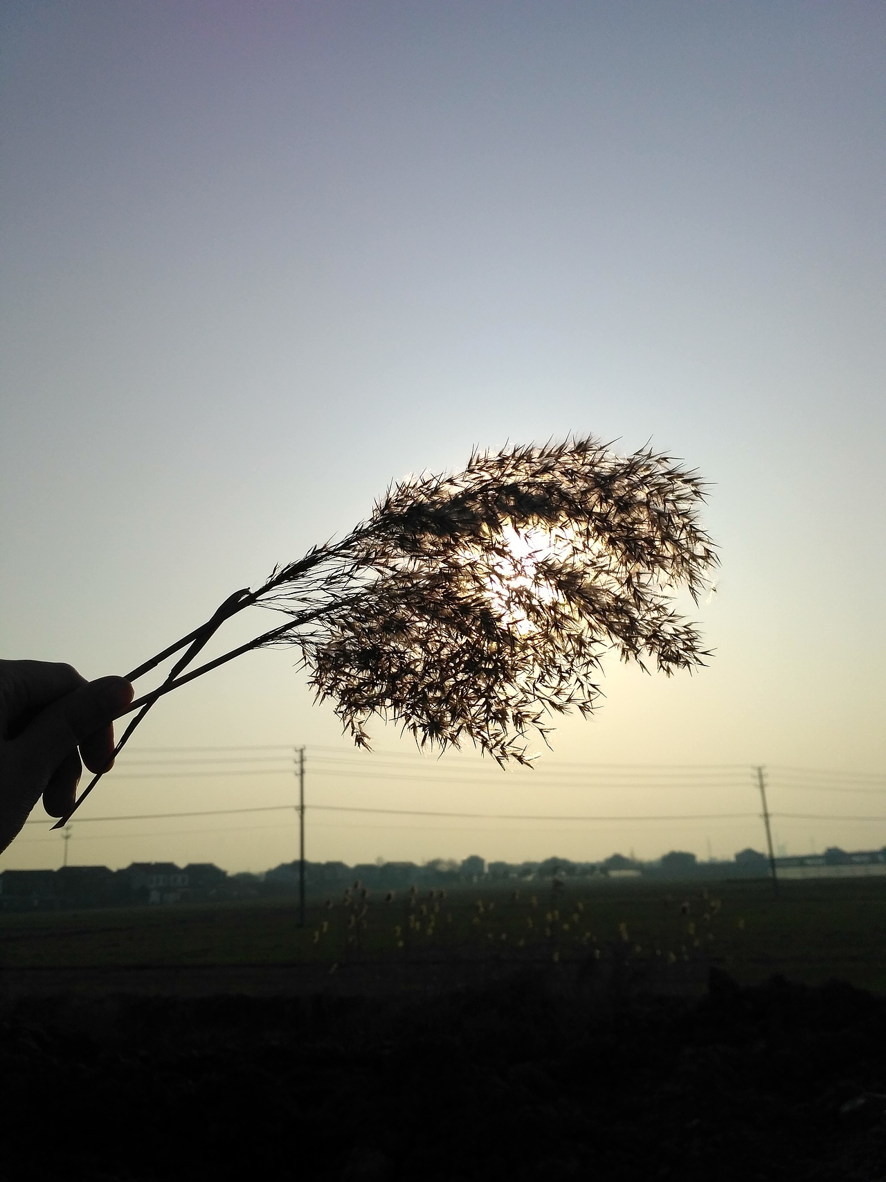顺手拍（图ZNjkzNDg4NTI=） - 风光摄影 - 站酷设计师腿肉一蹶不起原创素材 - 站酷ZCOOL