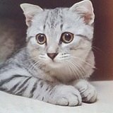 纯MIN的头像