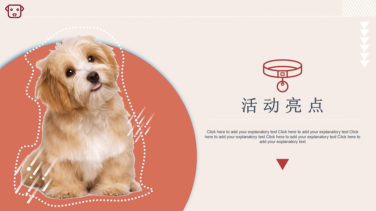 2021商业广场月度(萌宠秀场主题)活动推荐-46P
