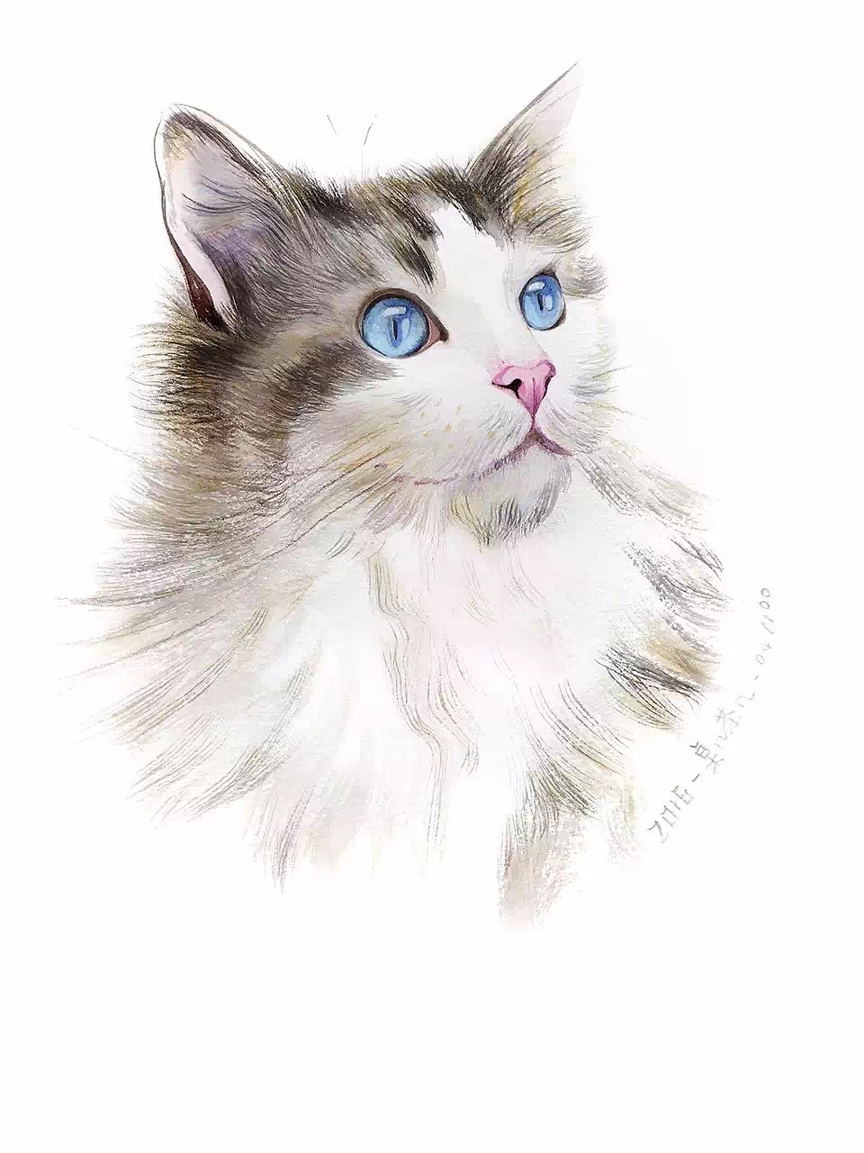 #存图# 没完成的100只猫（图ZMTc0MDM1OTA4） - 创作习作 - 站酷设计师汪野心原创素材 - 站酷ZCOOL