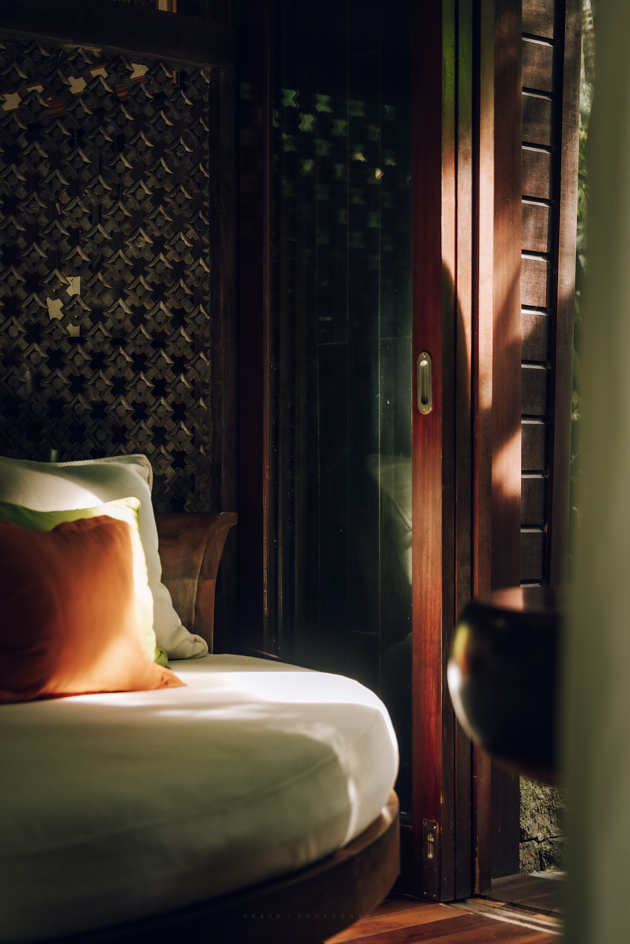 闯入热带雨林之后的旅程~