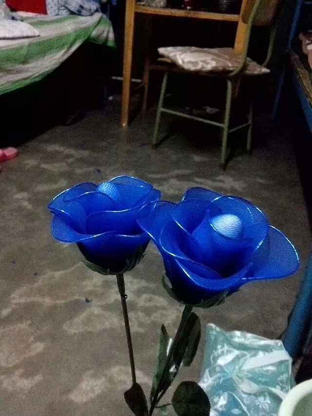 永生花（图ZNDU0ODEyNzI=） - 其他手工艺 - 站酷设计师zhuxiaobao原创素材 - 站酷ZCOOL