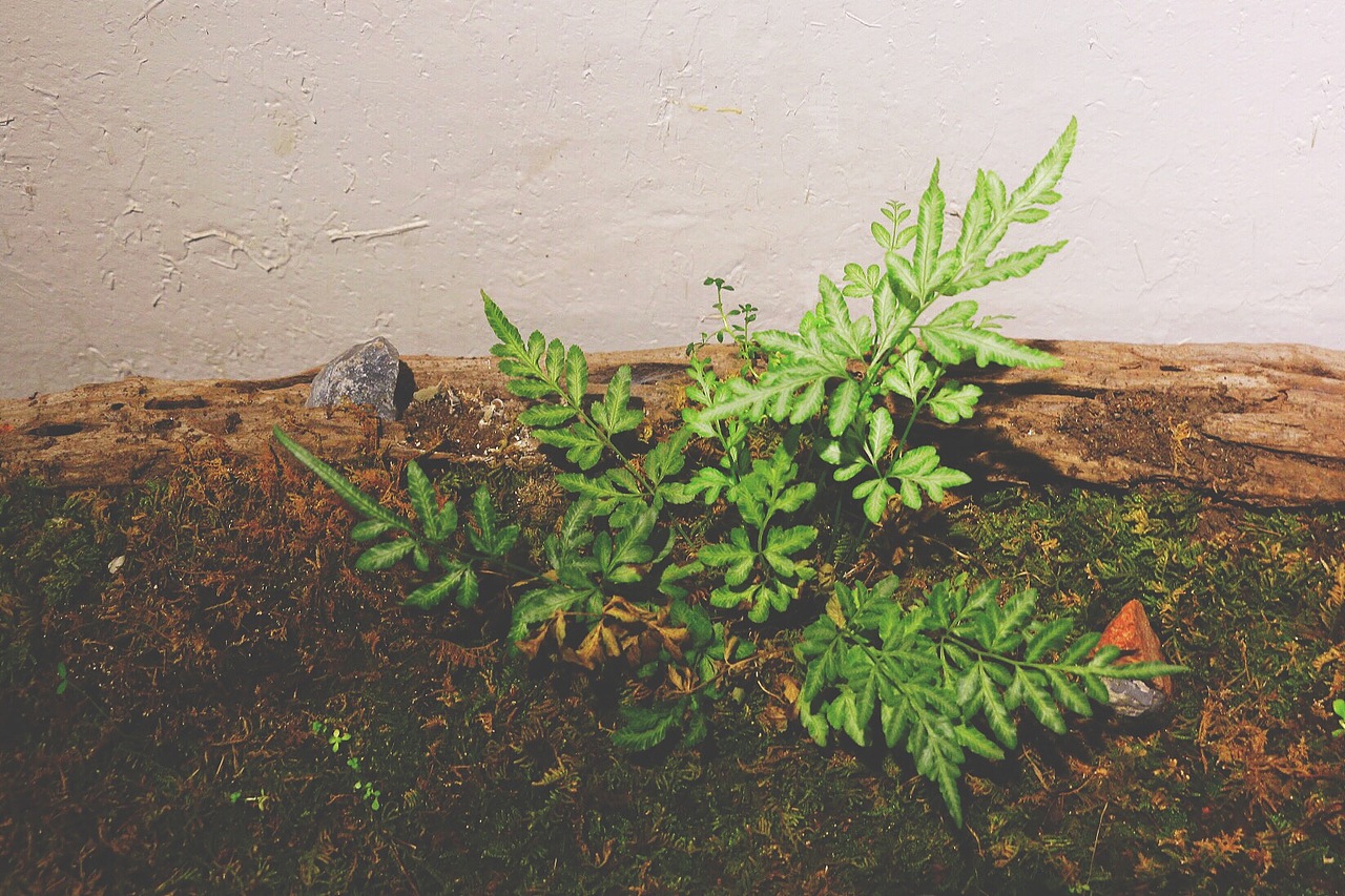 杭州·东信和创园