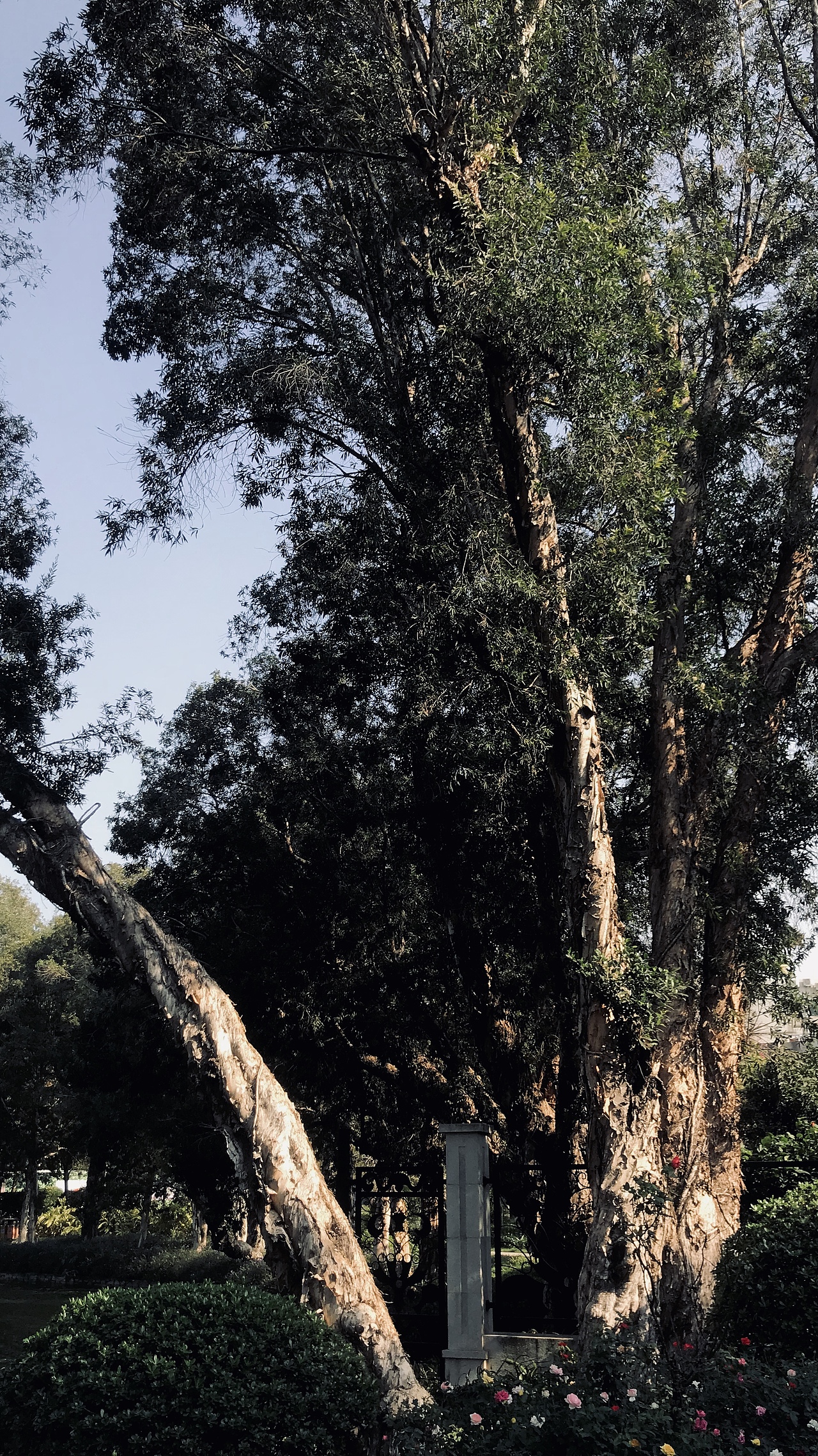 我的手机摄影随拍（图ZMjcyMTMyMzQ0） - 风光摄影 - 站酷设计师新一Sun原创素材 - 站酷ZCOOL