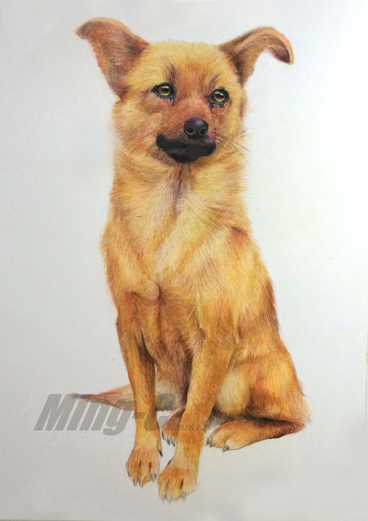 整体毛发颜色统一深入刻画细节。