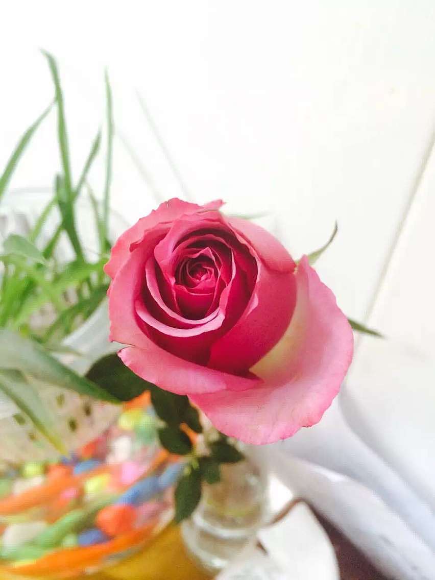 心若向阳（图ZNjAzMDQ4OTY=） - 产品摄影 - 站酷设计师ldwan原创素材 - 站酷ZCOOL