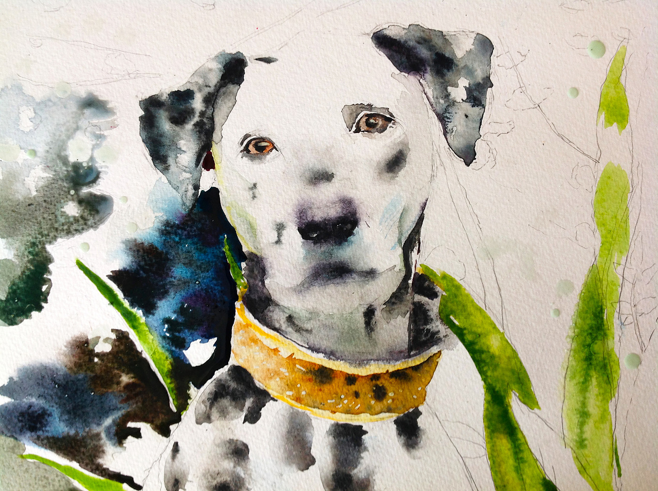 水彩画斑点狗