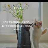 果果89的头像