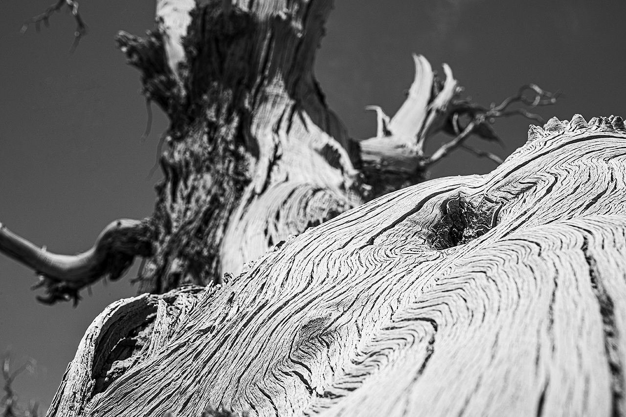 远方/远方除了遥远还有无尽的想象（图ZMTk1Mzc5MDM2） - 人像摄影 - 站酷设计师摄影师白云增原创素材 - 站酷ZCOOL