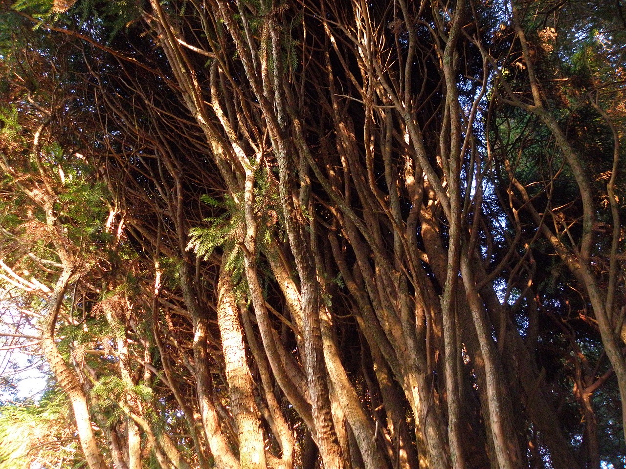 摄影作品！匆匆那年(风景摄影、人物摄影、微距摄影）