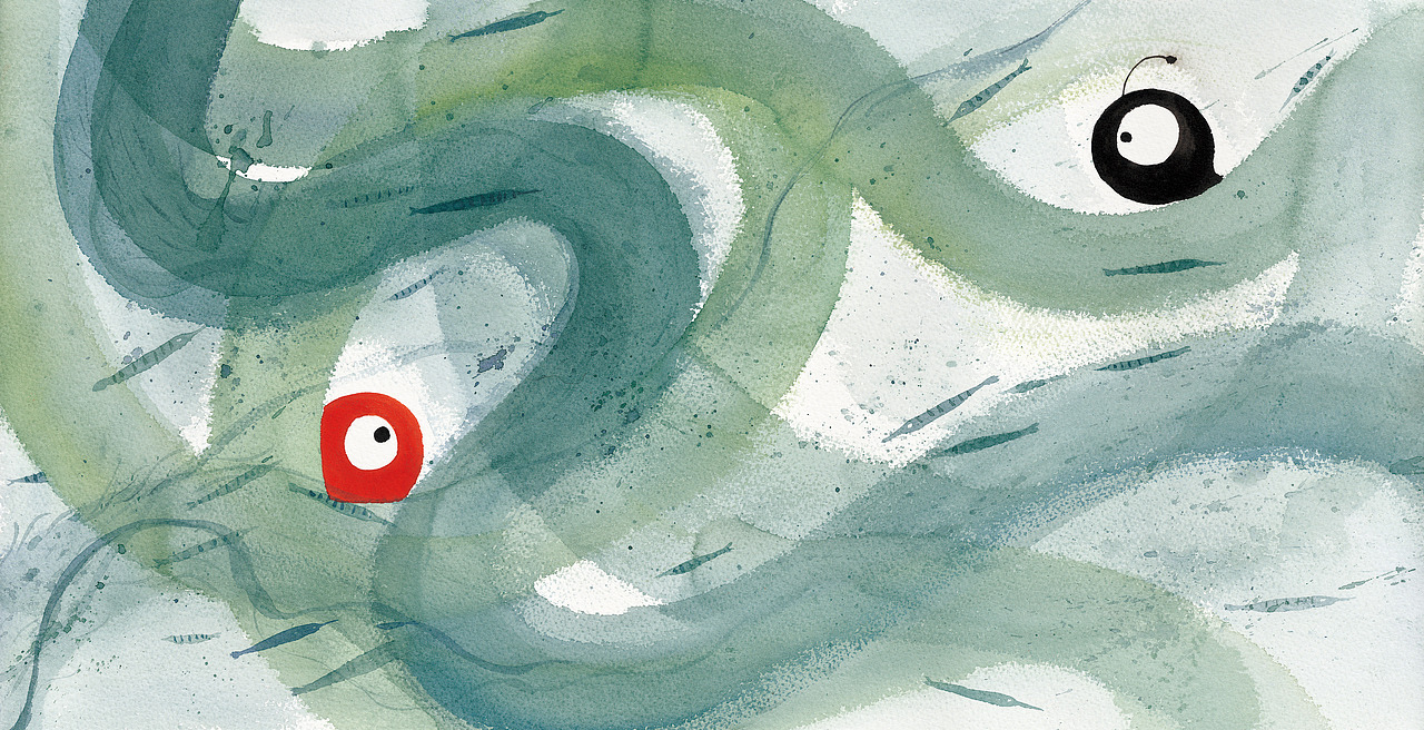 七秒钟记忆的鱼